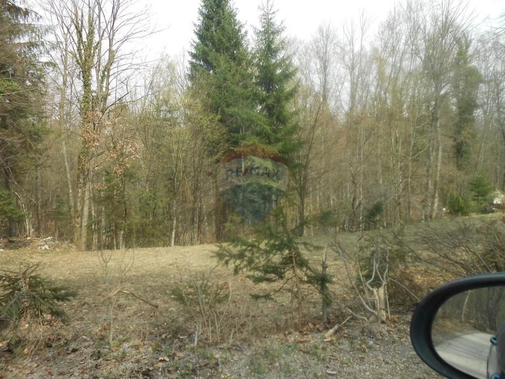 Fotografija