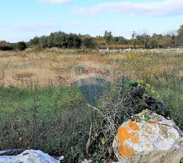 Istra, okolica Svetvincenta, gradjevinsko-poljoprivredna parcela - cover