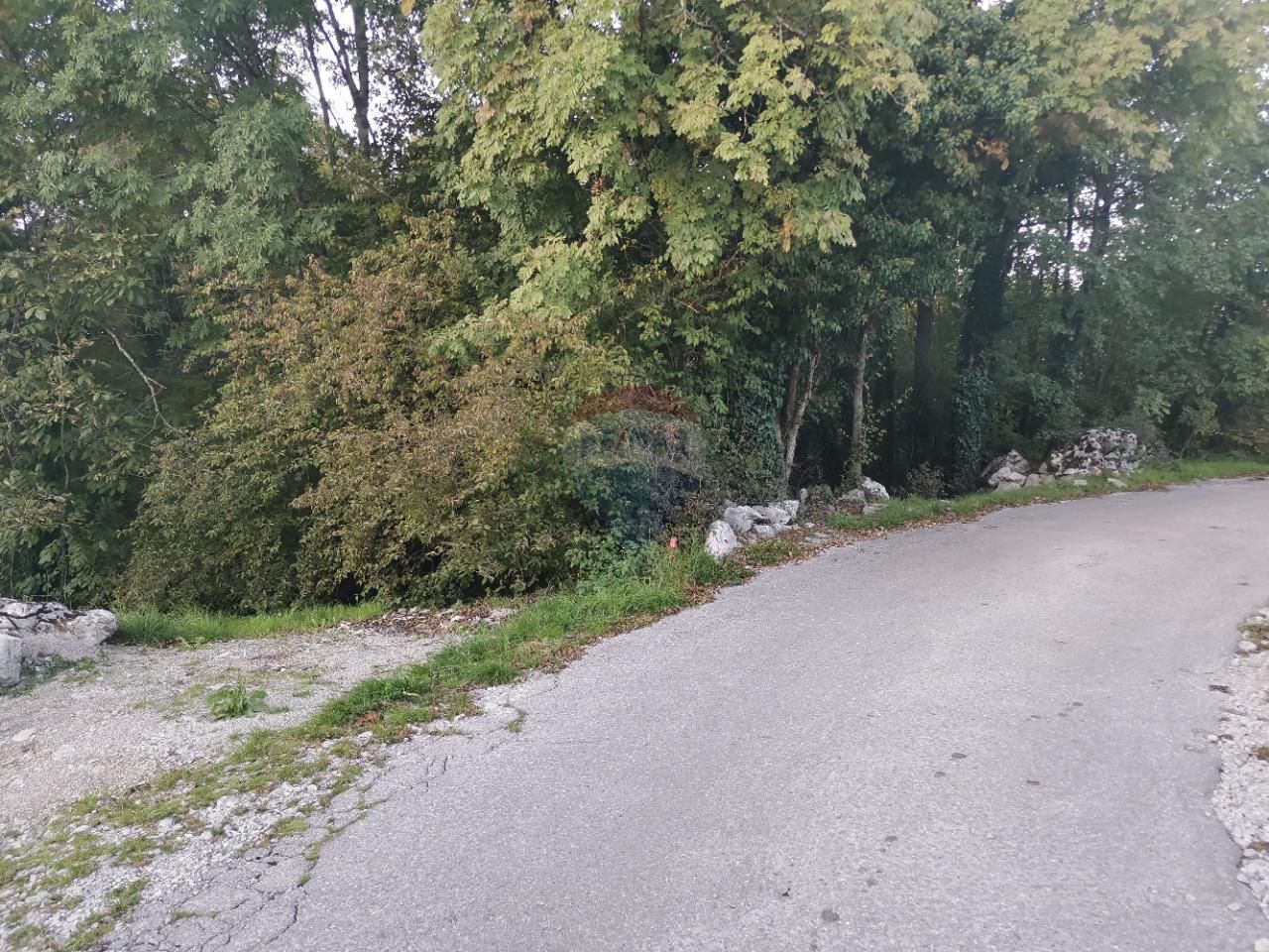 Fotografija