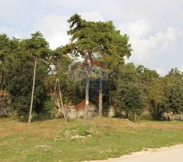 Vabriga, atraktivno građevinsko zemljište - cover