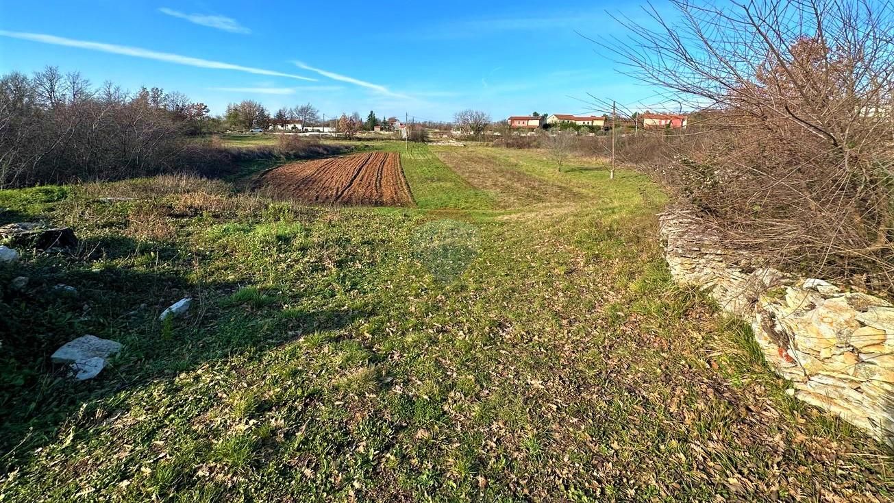 Fotografija