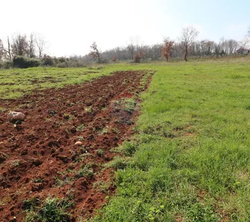 TAR, okolica- poljoprivredno zemljište - cover