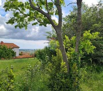 Kaštelir: Lijepo građevinsko zemljište na brijegu s pogledom na more - cover