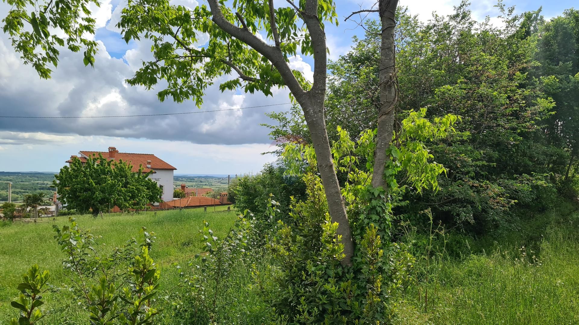Fotografija