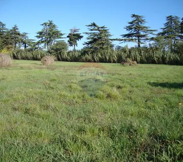 ISTRA, PULA, VELI VRH, građevinsko zemljište na glavnoj cesti - cover