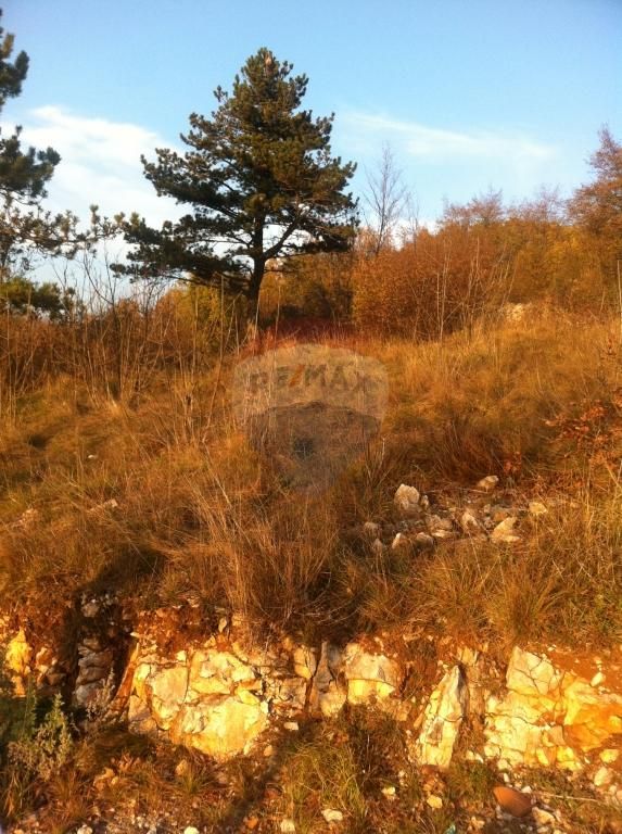 Fotografija