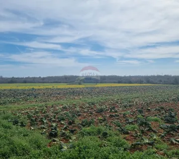  Šišan, poljoprivredno zemljište 10 600 m2 - cover