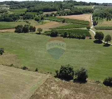 Istra, Vižinada, negrađevinsko zemljište 11 290 m2 - cover
