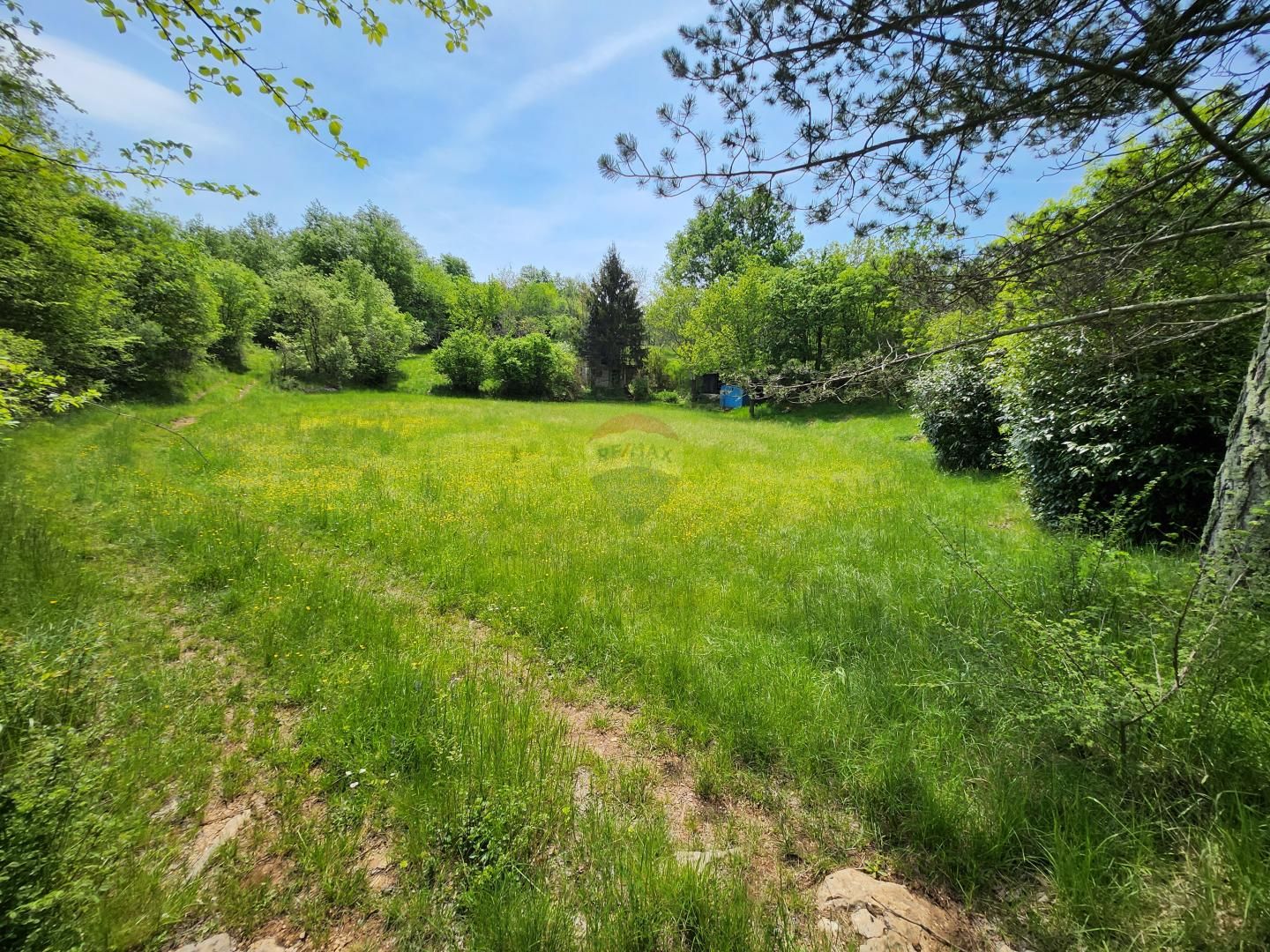 Fotografija