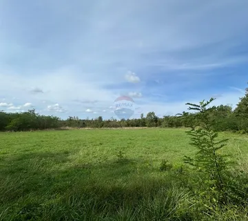 Poreč, okolica, lijepo i održavano poljoprivredno zemljište uz cestu - cover