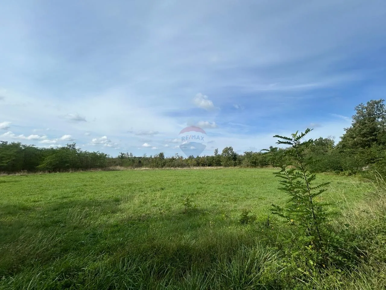 Poreč, okolica, lijepo i održavano poljoprivredno zemljište uz cestu - cover