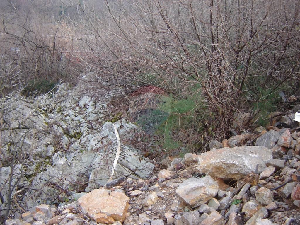 Fotografija