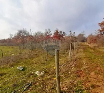 Poreč, Dračevac - Negrađevinsko zemljište 17415 m2 - cover