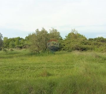 Lovrečica, Umag - građevinska parcela 300 m od plaže - cover