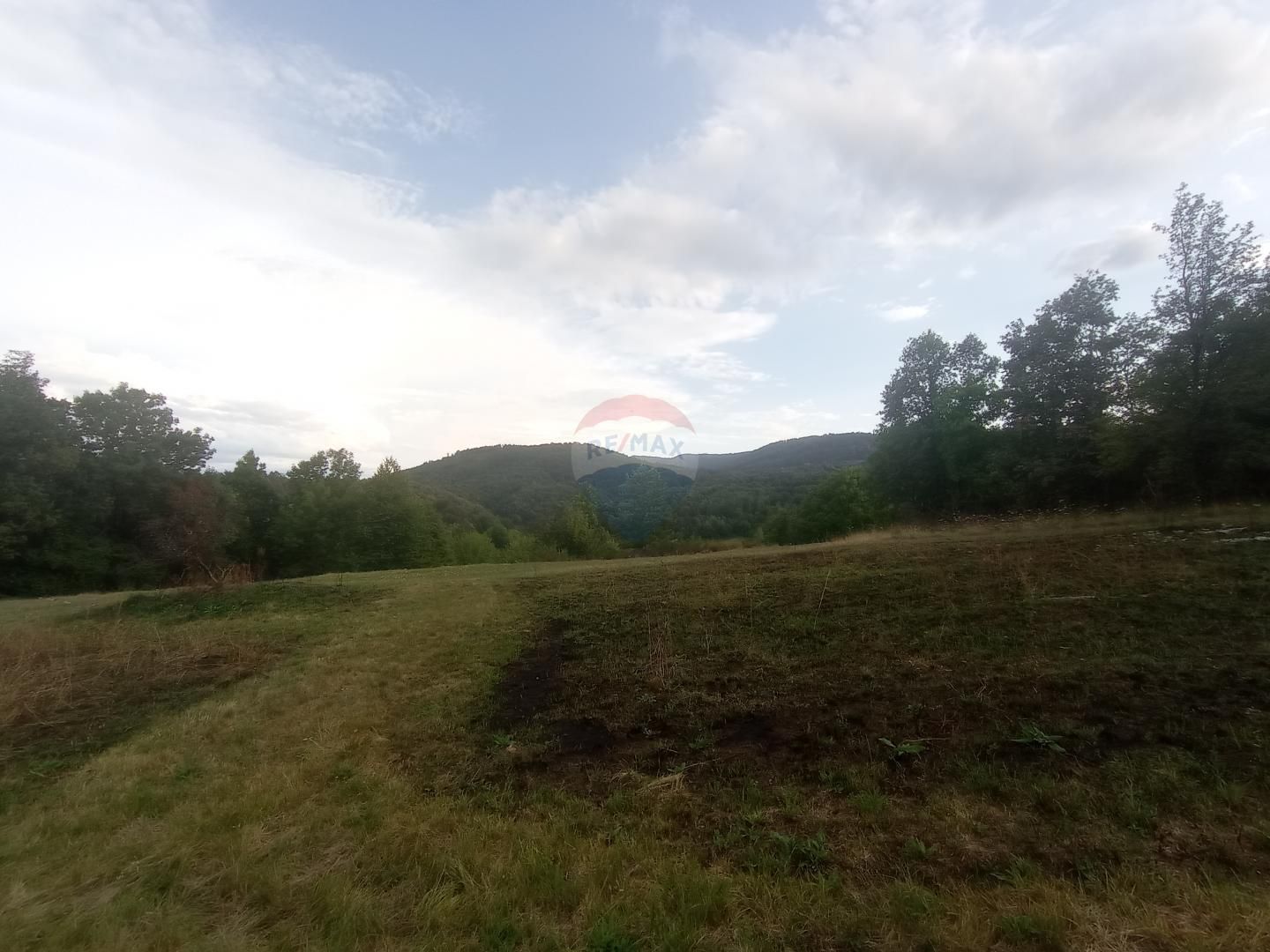 Fotografija