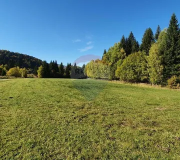 Kupjak - građevinski teren 8207 m2 - cover