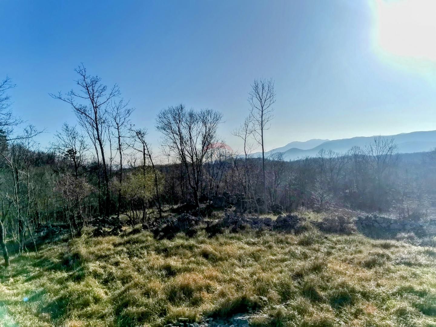 Fotografija