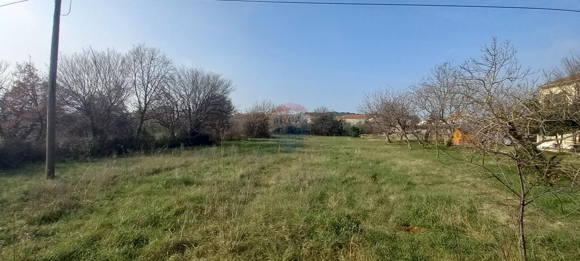 Fotografija