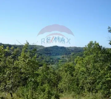 Zemljište u netaknutoj prirodi - cover