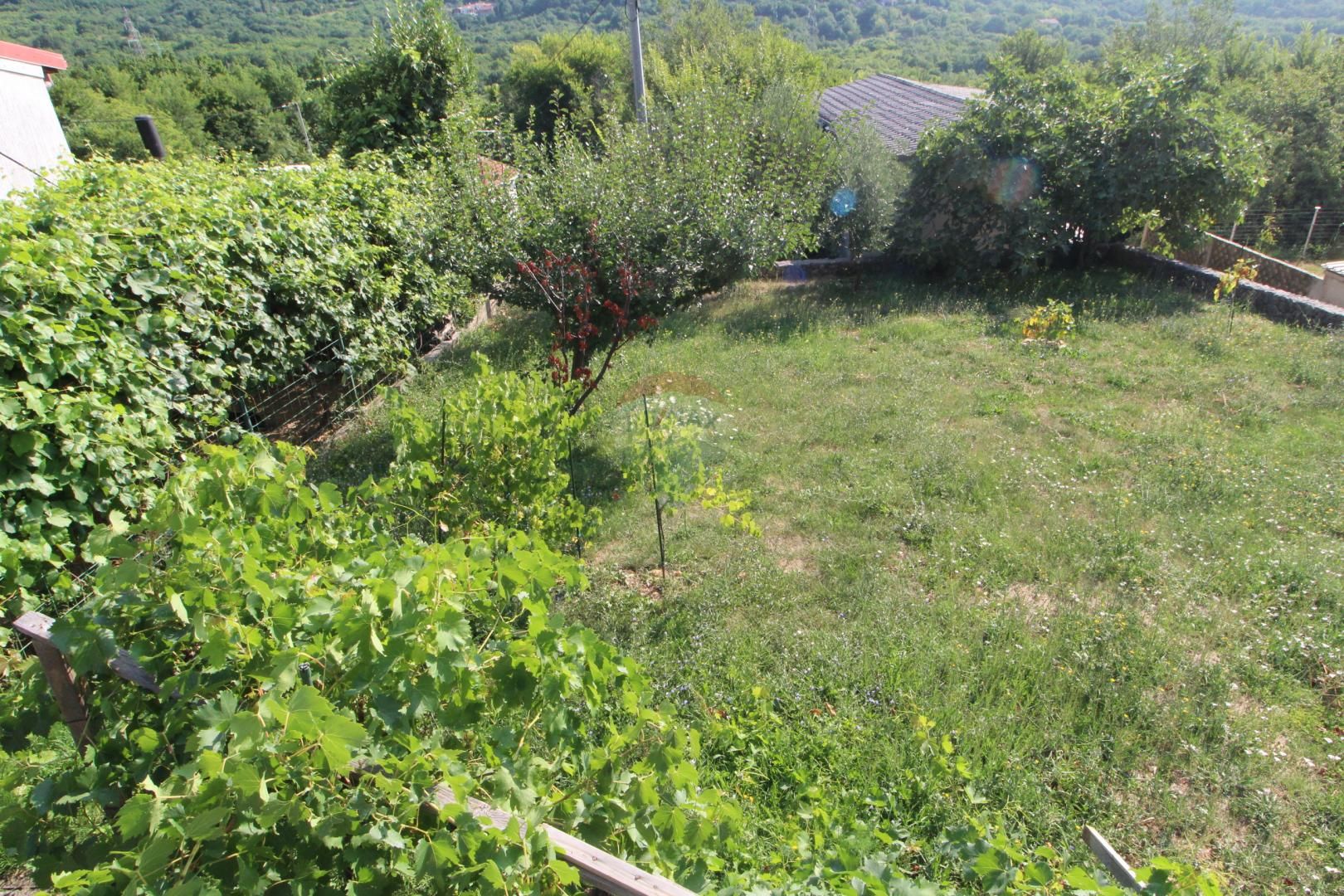 Fotografija