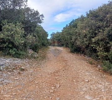 Istra, Peruški okolica, šuma blizu mora - cover
