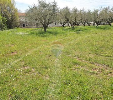 Istra, Umag okolica- građevinsko zemljište blizu mora - cover