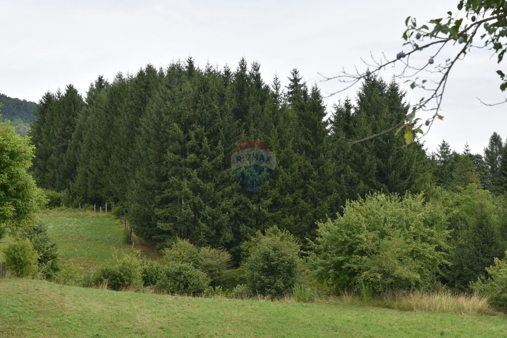 Fotografija