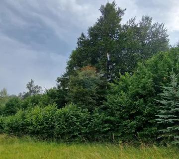 Poljoprivredno zemljište 9970 m2 blizina Delnica - cover