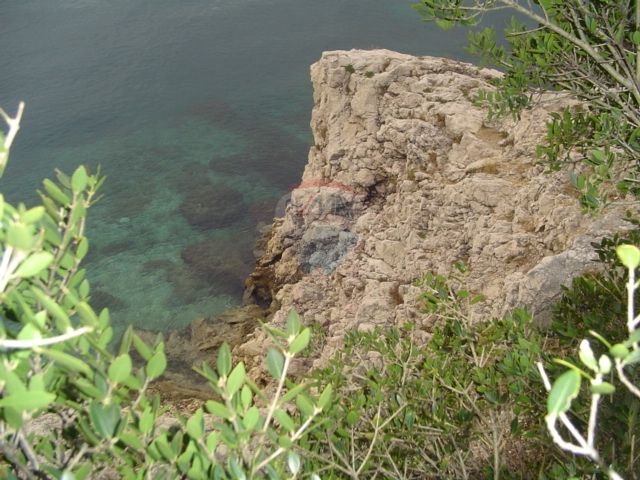Fotografija