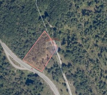Škrljevo, G.Jelenje, 5558 m2, Poljoprivredni teren i šuma - cover