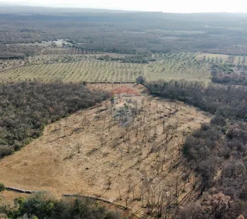 BALE - Prelijepo poljoprivredno zemljište 22821m2  - cover