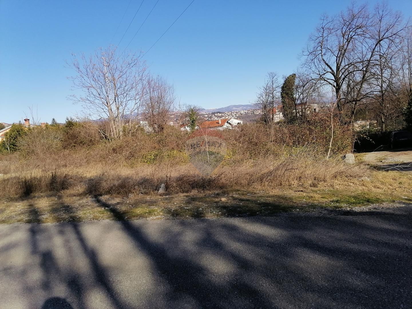 Fotografija