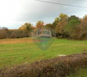 Vrsar - okolica, poljoprivredno zemljište 9568m2  - cover