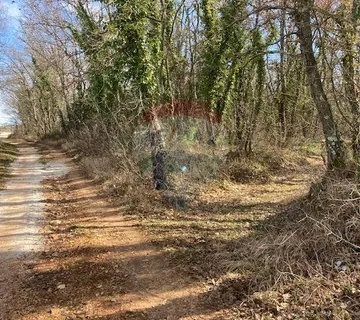 Žbandaj, okolica, šuma 20000 m2 - cover