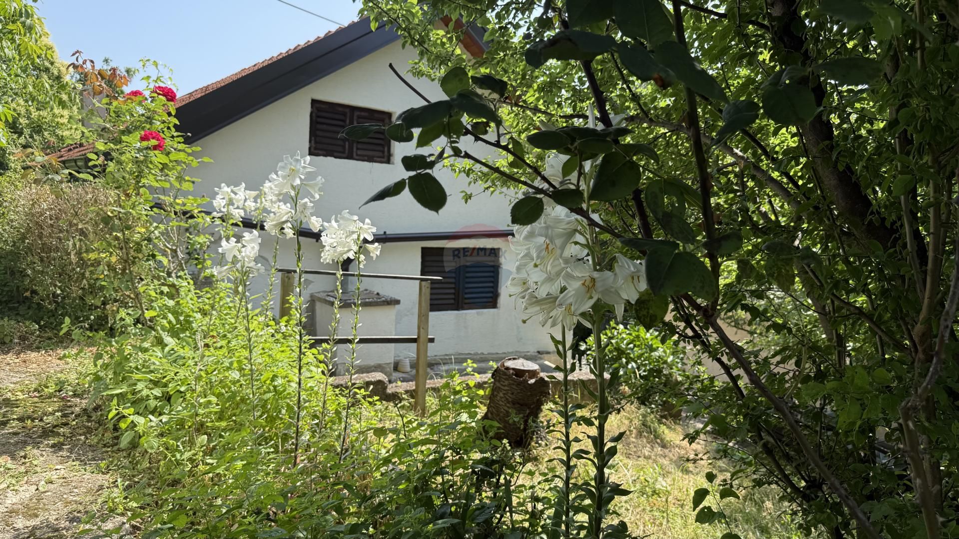 Fotografija