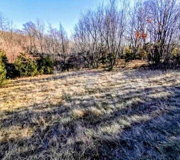 LIpa, šumsko zemljište površine 3075m2 - cover