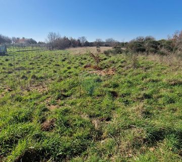 Istra, Ližnjan, Negrađevinsko Zemljište 6042m2 - cover
