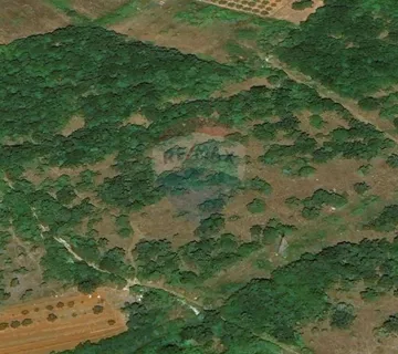 TAR-poljoprivredno zemljište s pristupnim putem - cover