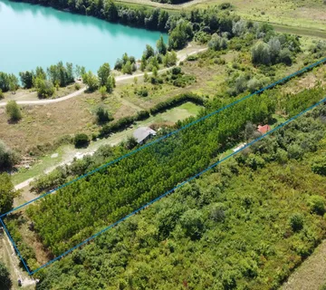 Velika Gorica, Vukovina, zemljište 8.103 m2, plantaža crnog oraha - cover