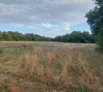 Istra,Prodol, građevinsko zemljište 1000 m2 - cover