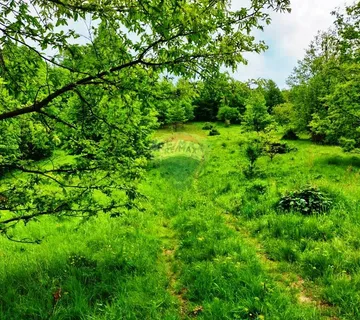 Klana, građevinsko zemljište 5510m2 na atraktivnoj lokaciji - cover