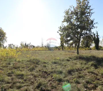 VIŠNJAN, okolica-građevinsko i poljoprivredno zemljište  - cover