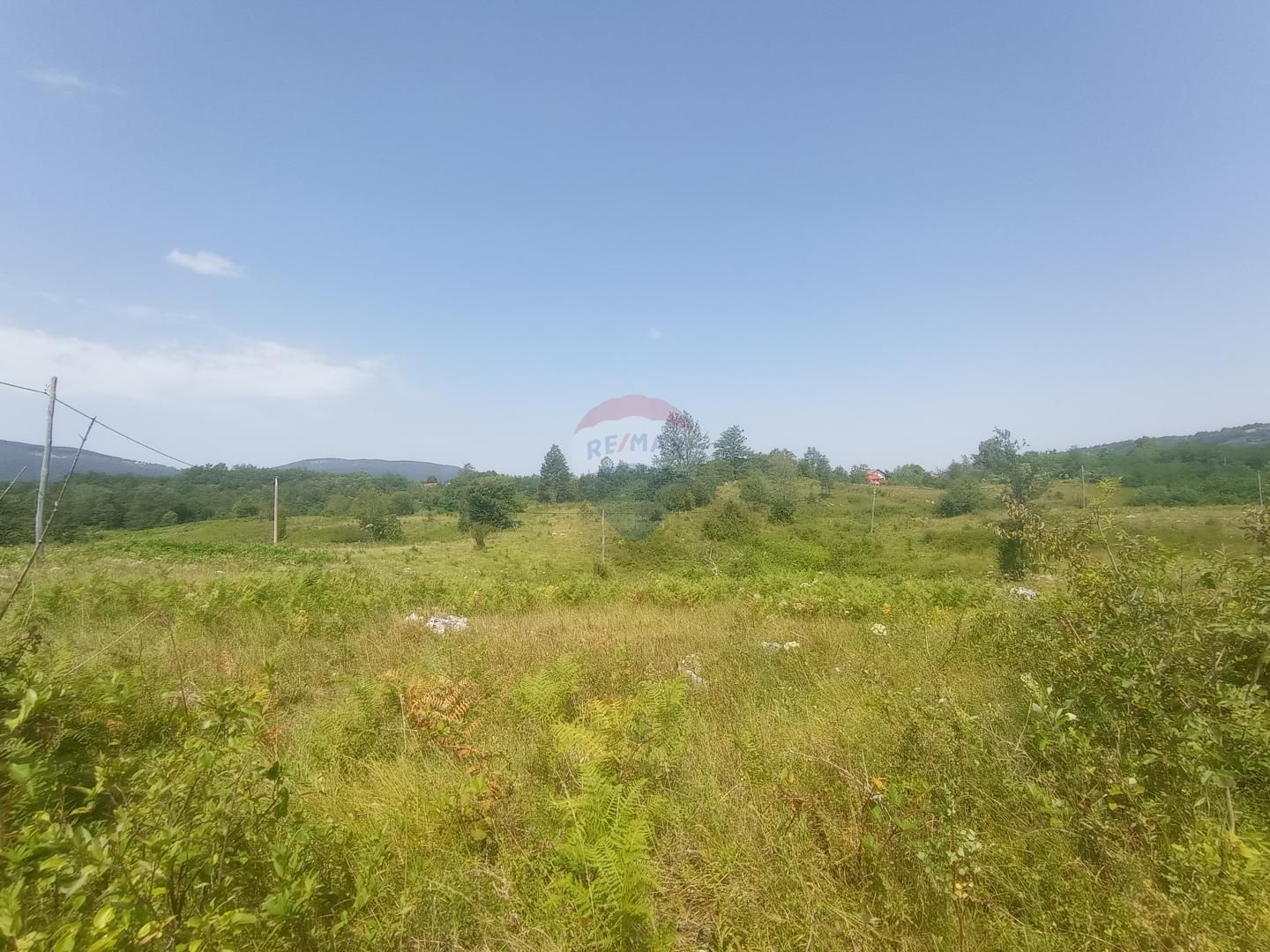 Fotografija