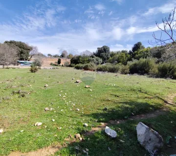 Krk, poljoprivredni teren s izvorom vode - cover