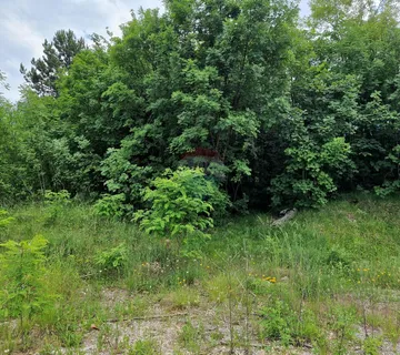 Buzet,okolica,građevni teren - cover