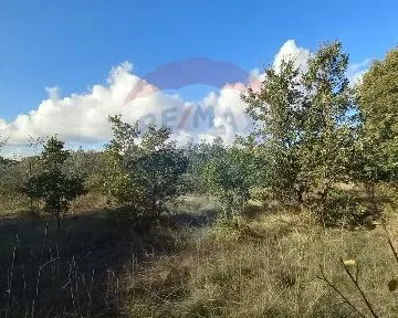 Istra,Kanfanar-građevinsko zemjlište gospodarske namjene - cover