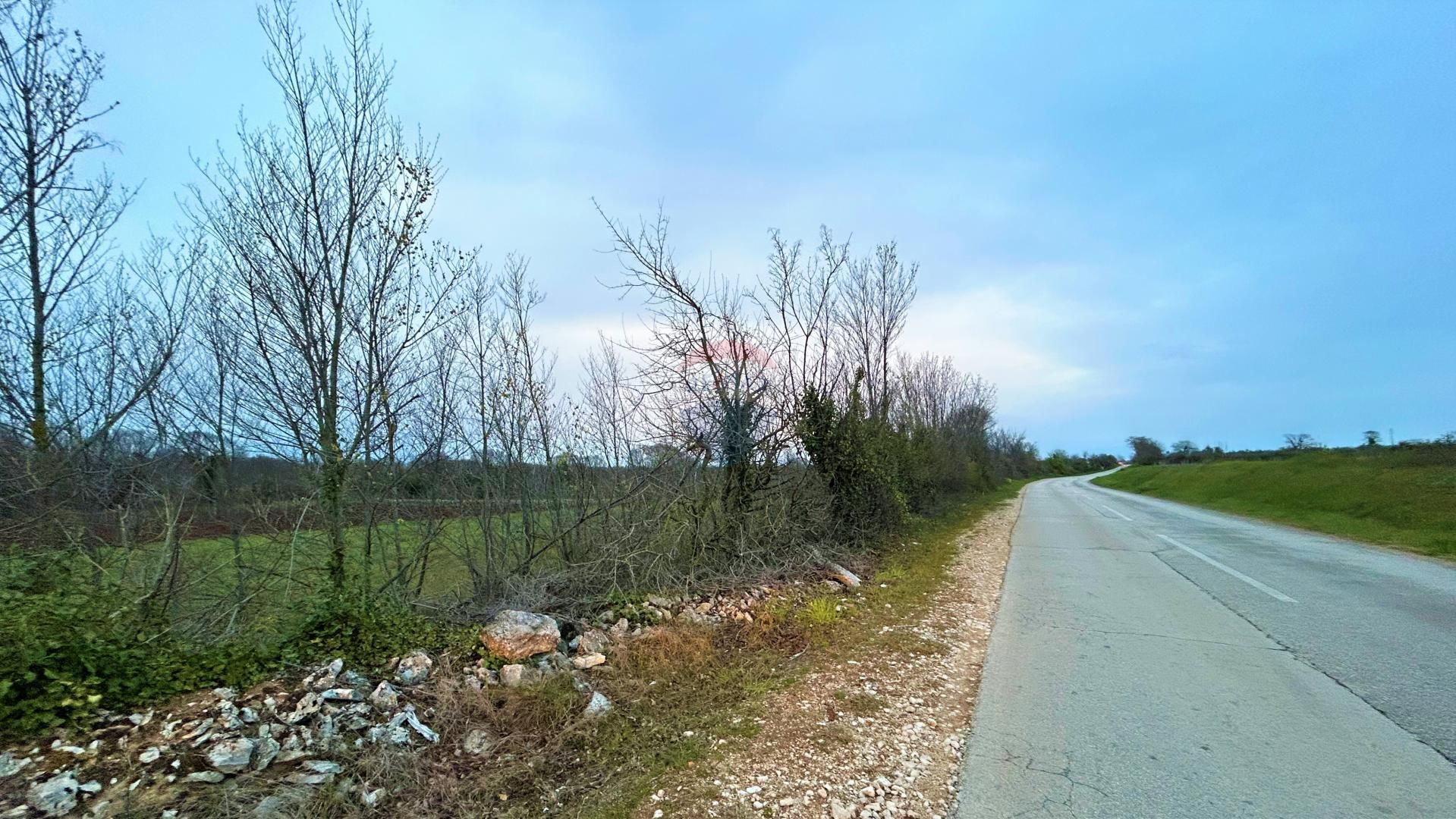 Fotografija