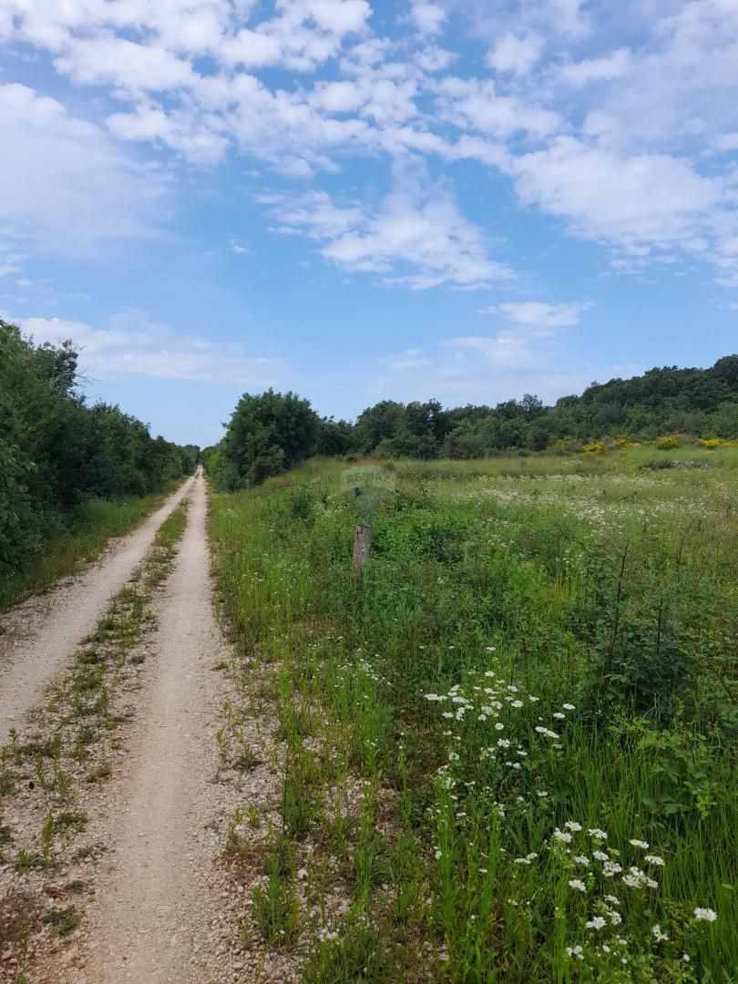 Fotografija