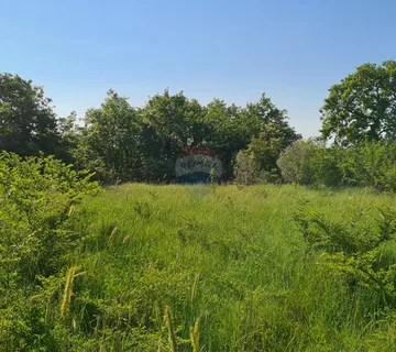 Poljoprivredno zemljište + ruševina 15438 m2 , Marčana - cover