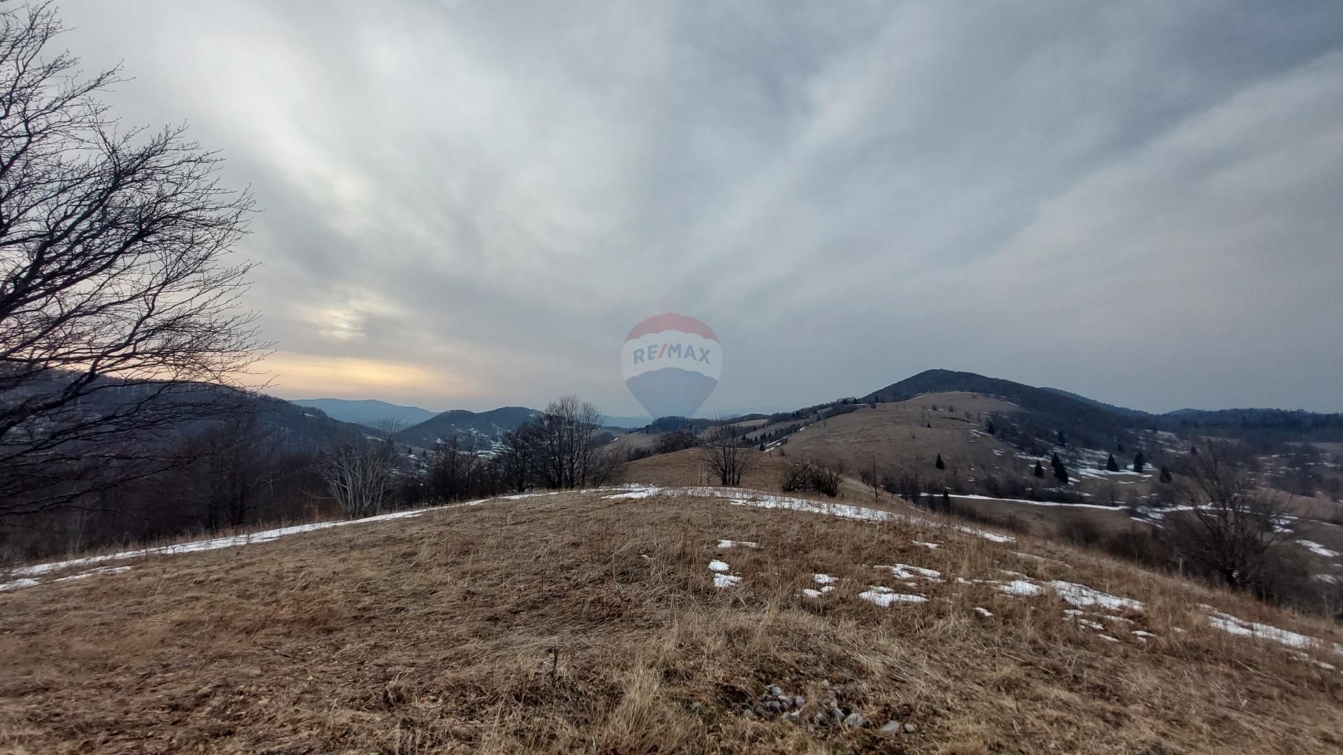 Fotografija